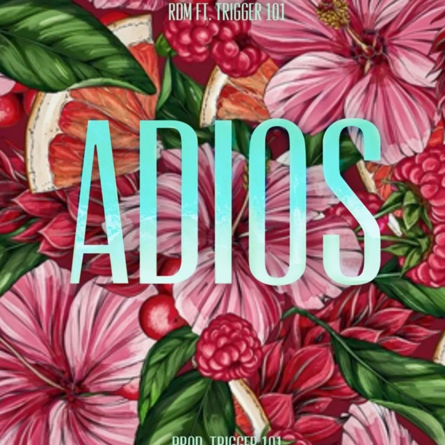 Adios cover art