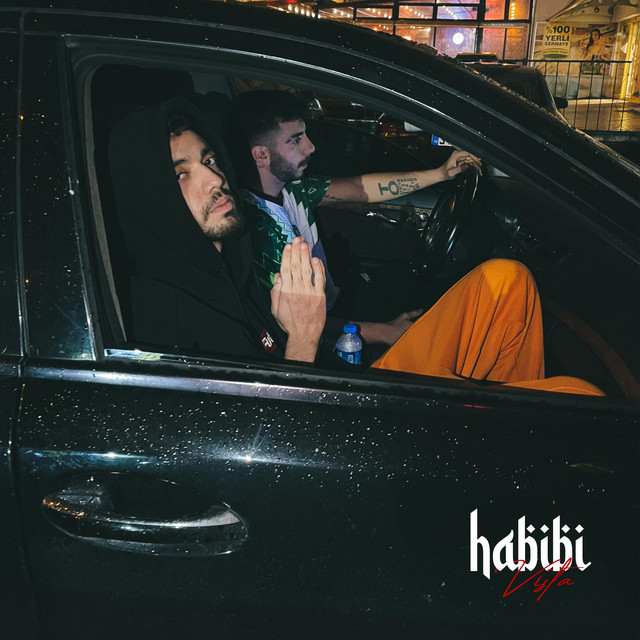 Habibi cover art