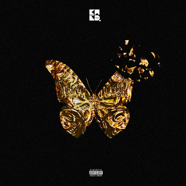 True cover art