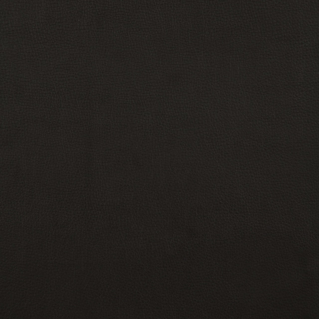 Pagon cover art
