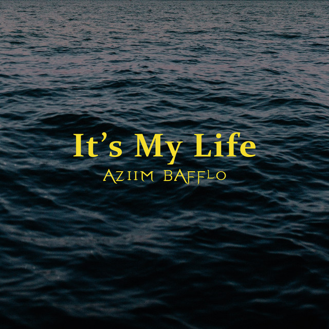It's My Life cover