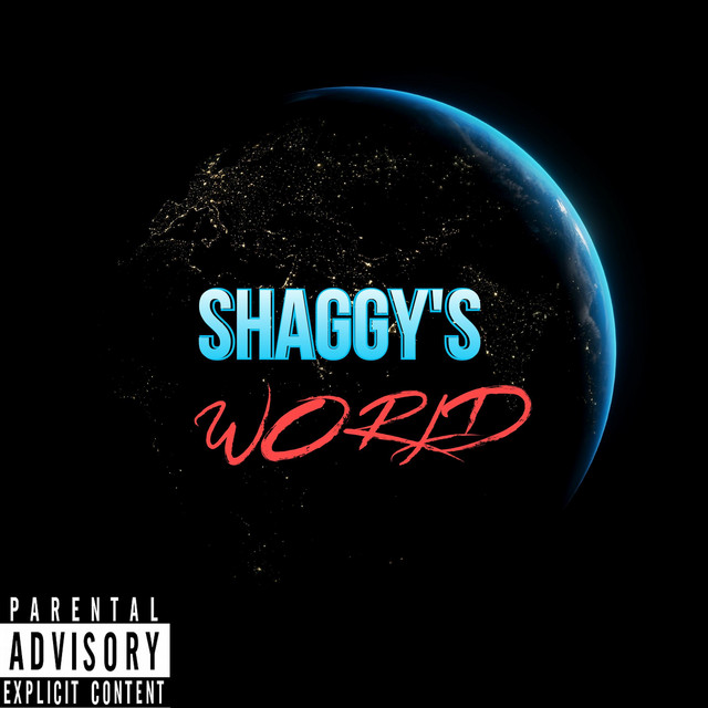 Shaggy The Plug