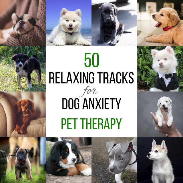 50 Relaxing Tracks for Dog Anxiety (Pet Therapy, Calming Music, Harmony and Peace, Animal Reiki, Holistic Healing) cover art