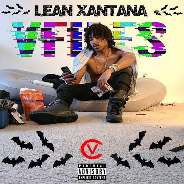 VFiles cover art
