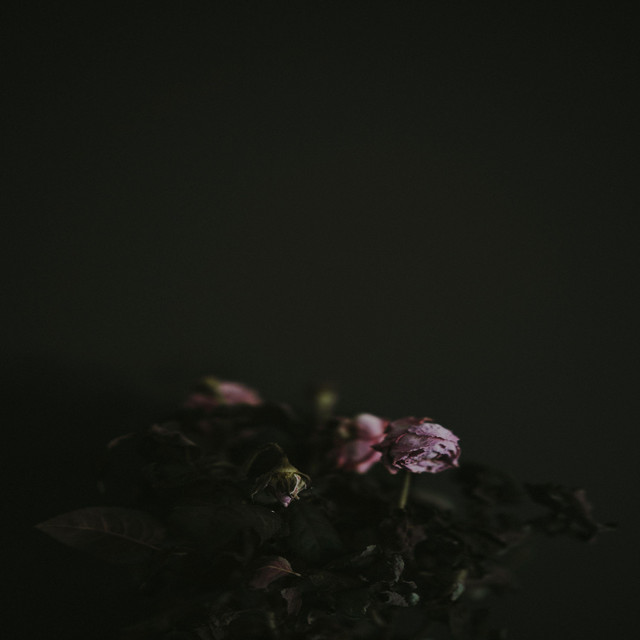 Six Funerals cover art