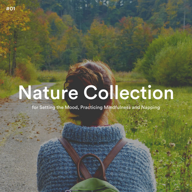 #01 Nature Collection for Setting the Mood, Practicing Mindfulness and ...