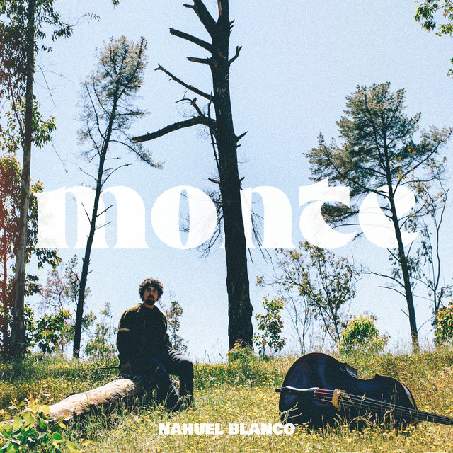Monte cover art