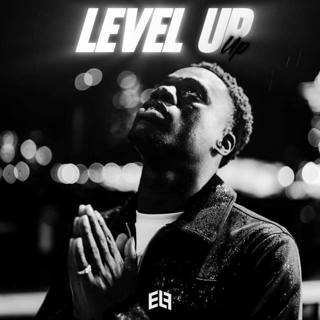 Level up cover art