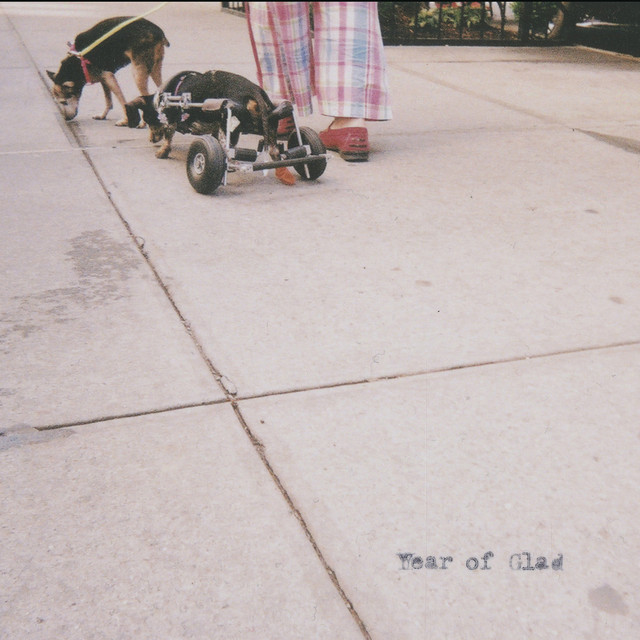 Year of Glad cover