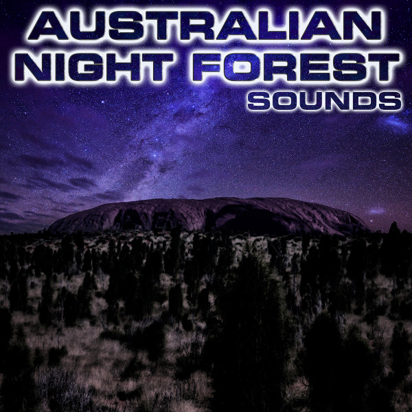 Australian Night Forest Sounds
