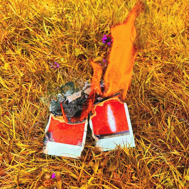 Feuer cover