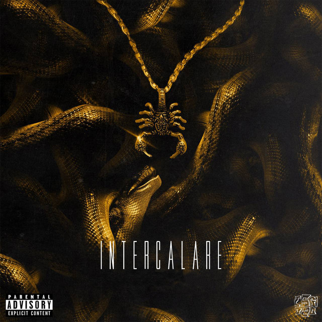 Intercalare cover art