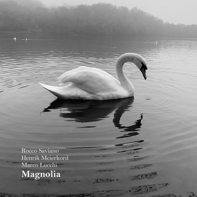 Magnolia