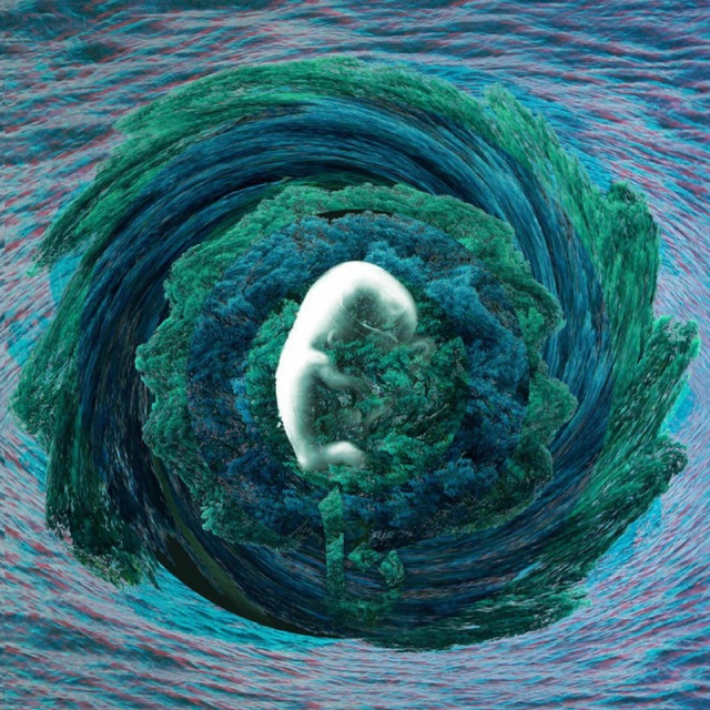 نا cover art