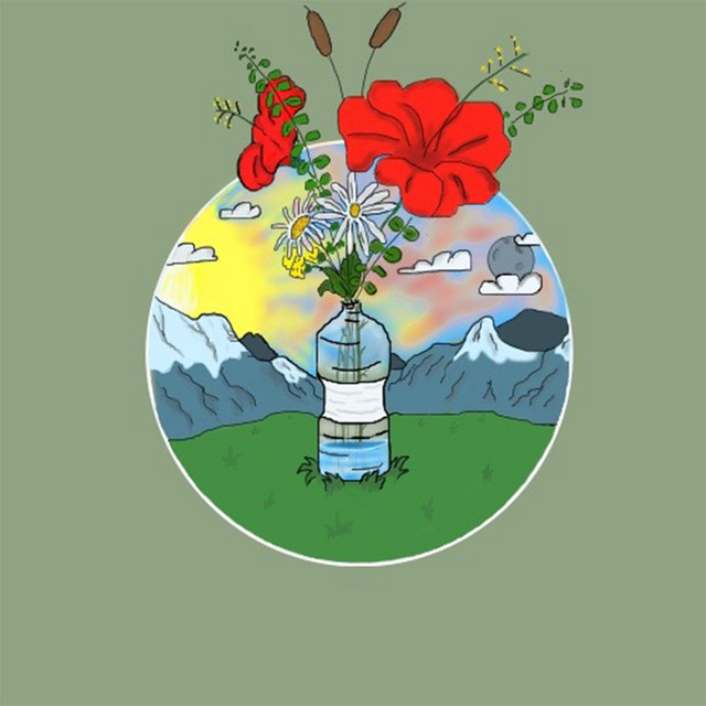 Plastic cover art