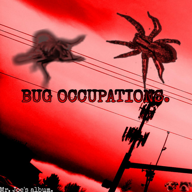 Bug Occupations cover art
