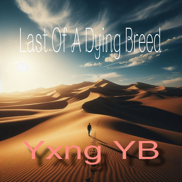 Yxng YB