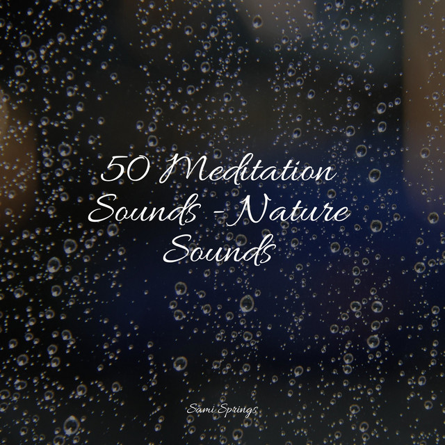 50 Meditation Sounds - Nature Sounds - Album by Children's Music | Spotify