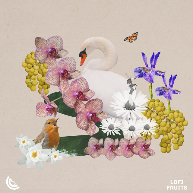 Call For Spring cover