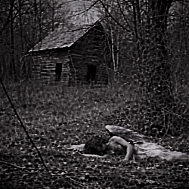 FALLEN