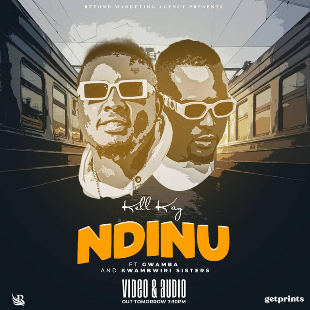Ndinu cover art