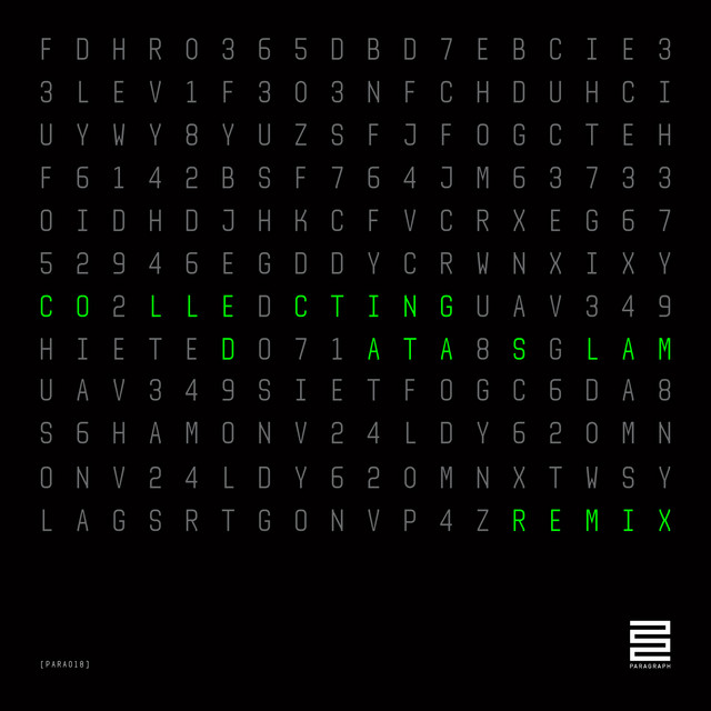 Collecting Data - Slam 2013 Remix album art