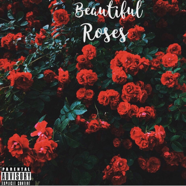 Beautiful Roses - song and lyrics by Dev | Spotify