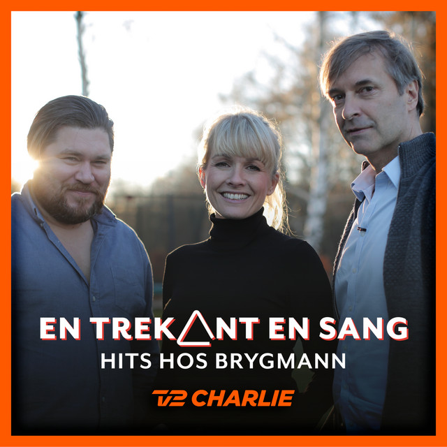 En Trekant En Sang 8 - Hits Hos Brygmann cover