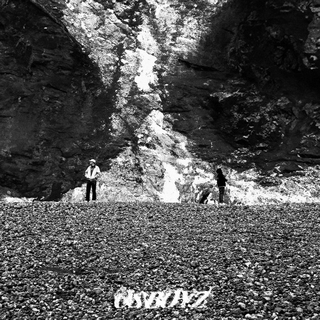 DANS LE NOIR cover art