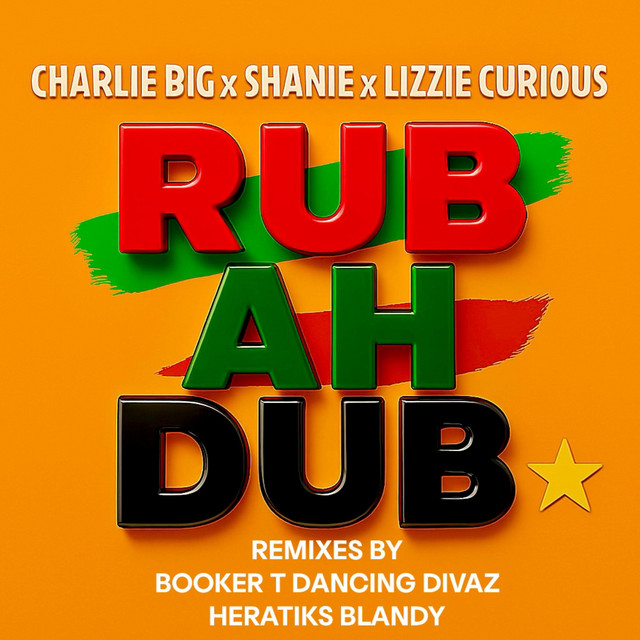 Rub Ah Dub - Booker T Remix