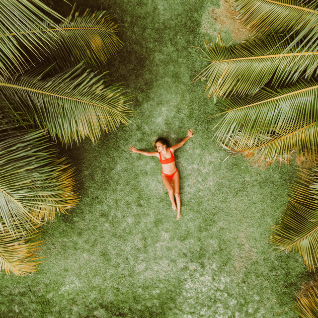 Bon Aleè — Moavii