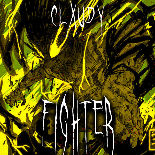 Fighter cover art