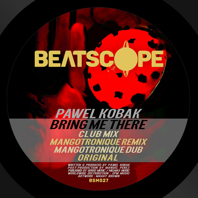 Bring Me There - Mangotronique Remix cover art