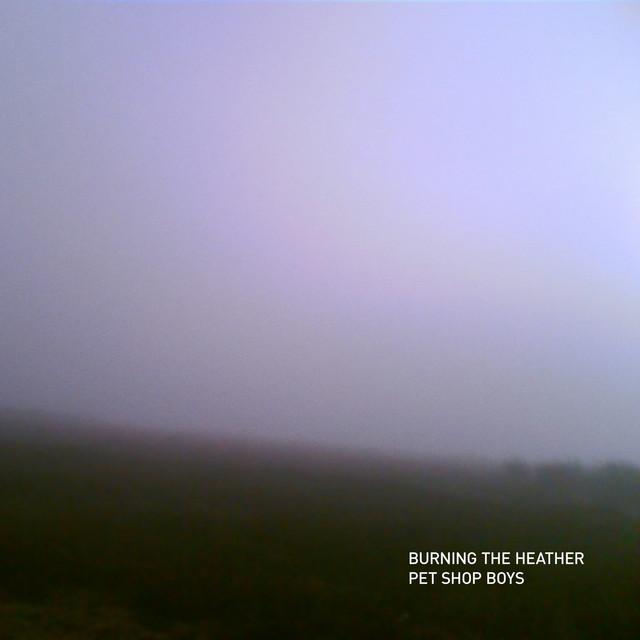 Boys　Decide Shop Pet (The Remixes)　CD
