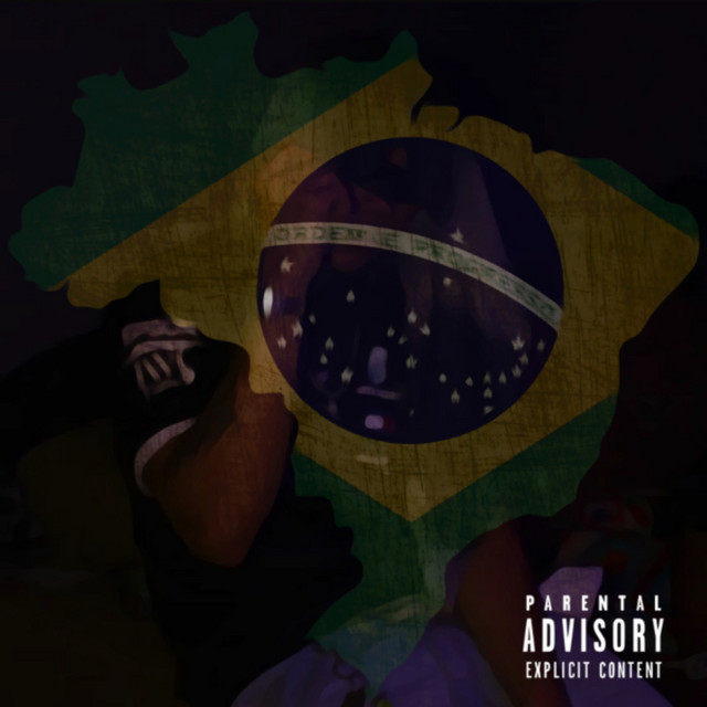 MADE IN BRAZIL