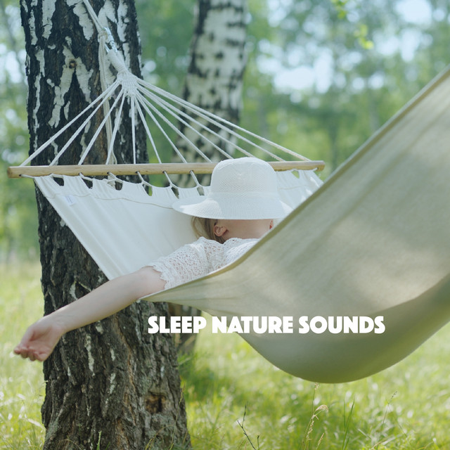 Sleep Nature Sounds - Album by Rain | Spotify