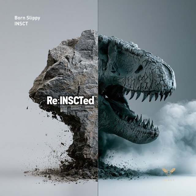 Re: INSCTed Born Slippy