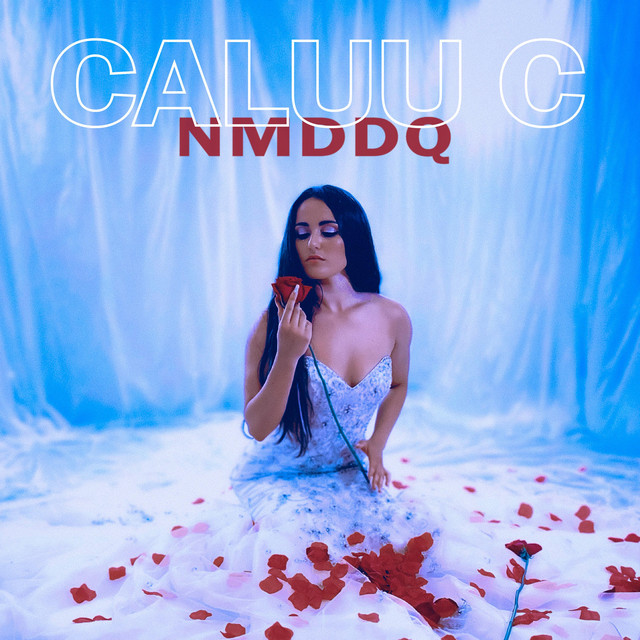 NMDDQ - Single by Caluu C. | Spotify