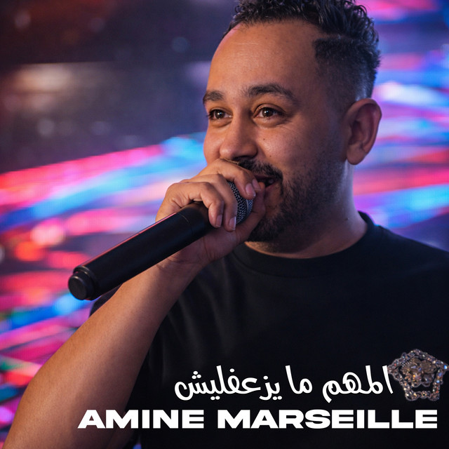المهم ما يزعفليش cover art