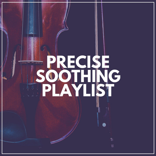 Precise Soothing Playlist cover art