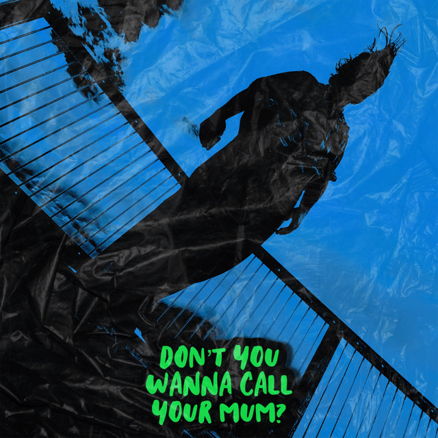 DON'T YOU WANNA CALL YOUR MUM? cover art