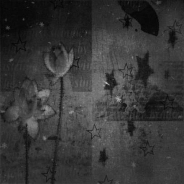 graceful* cover art