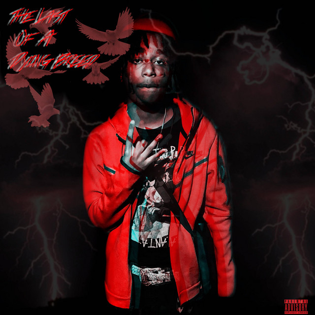 The Last Of A Dying Breed cover art