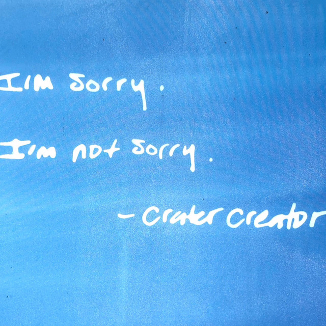 I'm Sorry. I'm Not Sorry. cover art