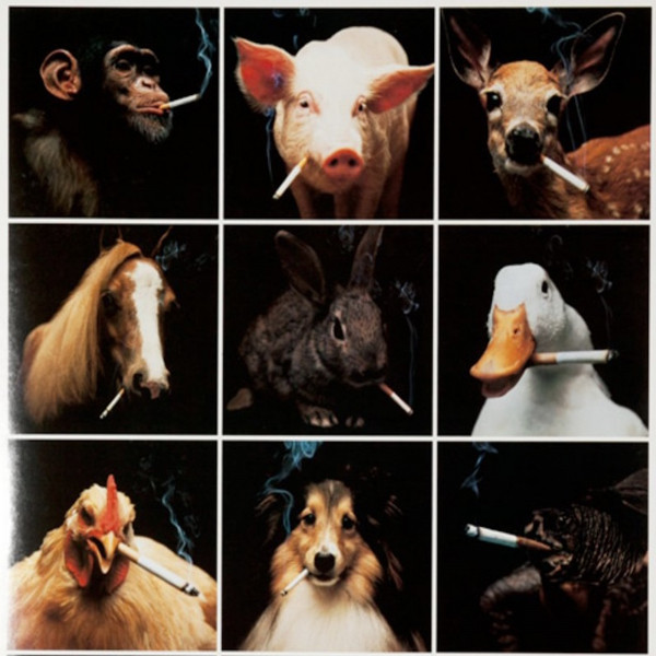 Who Owns Your Masters? cover art