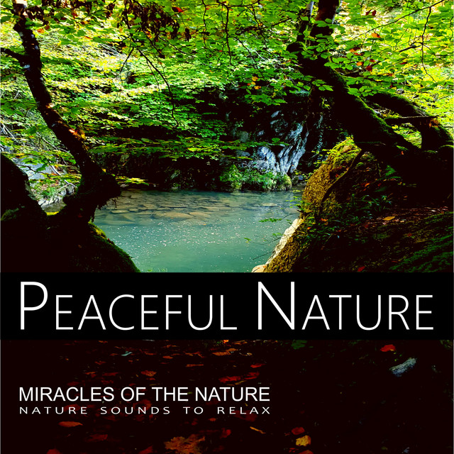 Miracles of the Nature - Nature Sounds to Relax