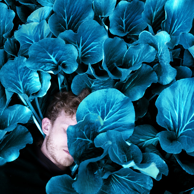 Mazde cover art