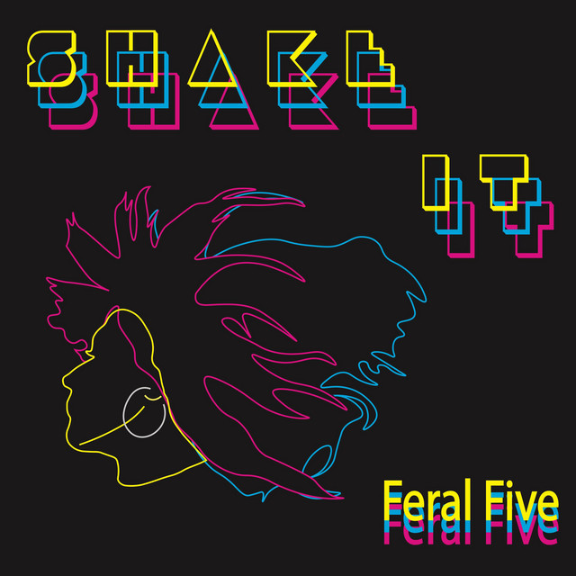 Shake It cover