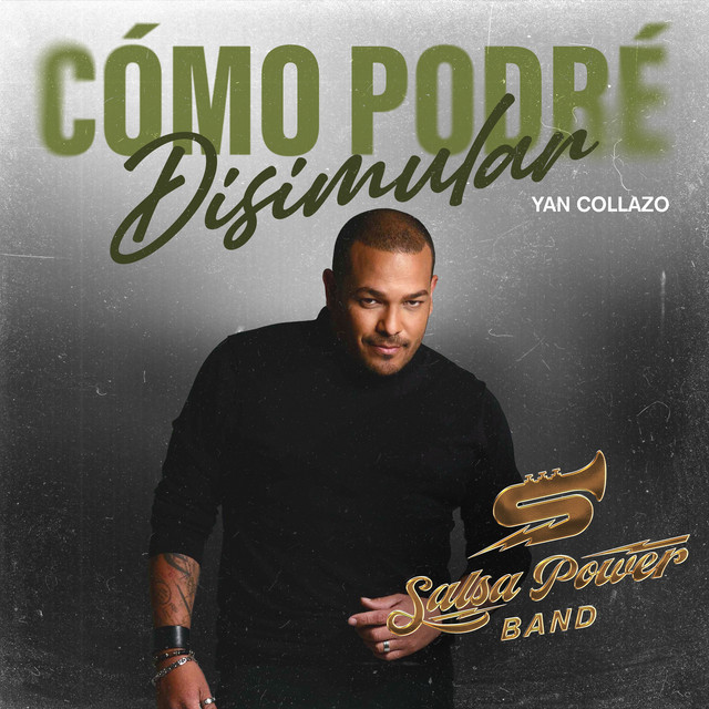 Como Podré Disimular