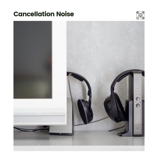 Cancellation Noise